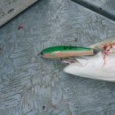 복사초등학교2 이미지