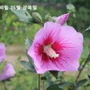 아리솔 이미지