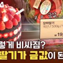 요즘 딸기 왜 이렇게 비쌈? 겨울 딸기가 금값이 된 이유🍓 이미지