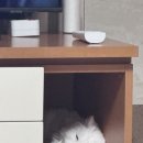 맘스터치송촌점 | 10월 취소해도 돼?