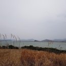 고천암방조제 황산경계 Daum카페