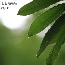 수리덤캠핑장 Daum카페
