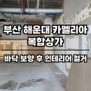 부산 해운대 카멜리아 상가 인테리어 철거 현장 후기