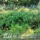 (주)송림환경 - 4577 | (주)송림환경