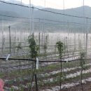 1호농장 이미지