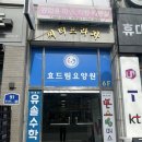 라엘네일 - 제주시 노형9길 1 | 안산 눈이 편안한 속눈썹 펌 라엘래쉬 엘컬 후기
