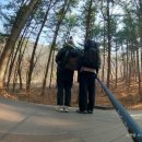 나무프린텍 - 강동구 성안로 9 | 3월의 호잣캠 힐링 백패킹