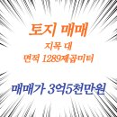 장성공인중개사사무소 이미지