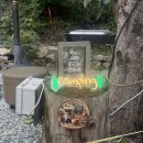 산대분교공공캠핑장 | 산대분교공공캠핑장: 마을과 자연이 어우러진 친환경 캠핑의 가치