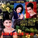 가시돛인 로즈마리 / 나애심 (1964) 이미지