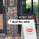 개나리펫