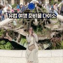 세이프크린 | 유럽 해외 여행 준비물 다이소 리스트 음식 샤워기 목베개 꿀팁