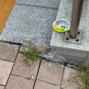 야곱목장 | 25년 9월 일상 | 하늘은 높고 자꾸 먹다보니 가을이었다