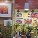 즐거운반딧불이 이미지