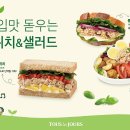 샌드위치 & 샐러드 이미지