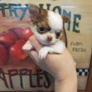 와와멍# 이미지