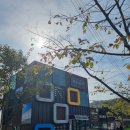 죽도대나무마을영어조합법인 이미지