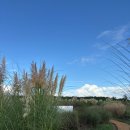 추자힐링랜드 | 제주도 강아지 동반 여행 코스 제주 댕댕패스 투어 후기 핫플 명소