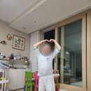 성공태권도장 이미지