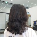 살롱드레이브 이미지