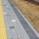 안강종합운동장 네이버블로그