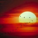 금보(琴譜) 이미지