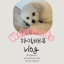 계림원 누룽지 통닭구이 흑석중앙대점 | 내돈내산 :: 겉바속촉 계림원 누룽지통닭 인정💯 열무김치랑 조합 미쳤다
