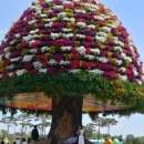 나비야함평가자 이미지