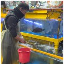 대성수족관 이미지