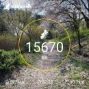 10월 26일 일요일/ 유림공원 국화축제 👣 이미지