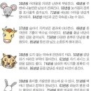 신단수디자인 이미지