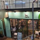 네이쳐 | 홍대 이색 카페 양카페 땡스네이쳐 내돈내산 후기