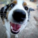 24시 산들산들 동물병원 이미지