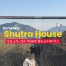 금성애견 이미지