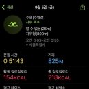 수영-303 이미지