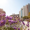 비바투어 이미지