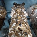 품안농장 이미지