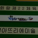 건강한태권도 이미지