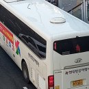 뉴럭셔리여행사 이미지