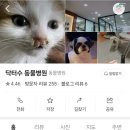 닥터수동물병원 이미지