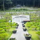 고인목장 이미지