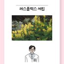 셀메드믿음약국 이미지