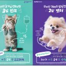 나우동물병원 이미지