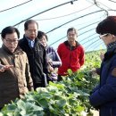 백선기 농장 이미지