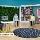 펫365동물병원 이미지