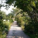 꽃향기 머무는 곳 이미지