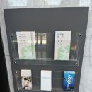 유성호텔2 | 대전 유성호텔 추천 2인 4인 숙소 4성급 호텔 인터시티 스탠다드 트윈룸 시티뷰 후기