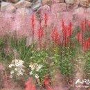 조경디자인린주 이미지