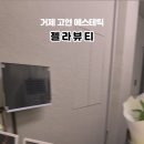 샵젤라