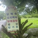 주목나무집 이미지